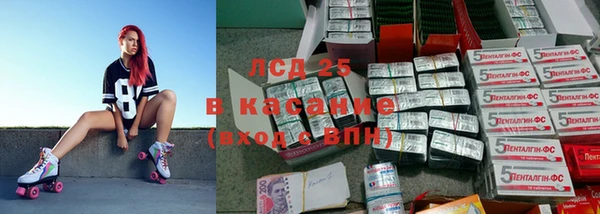 ПСИЛОЦИБИНОВЫЕ ГРИБЫ Алексеевка